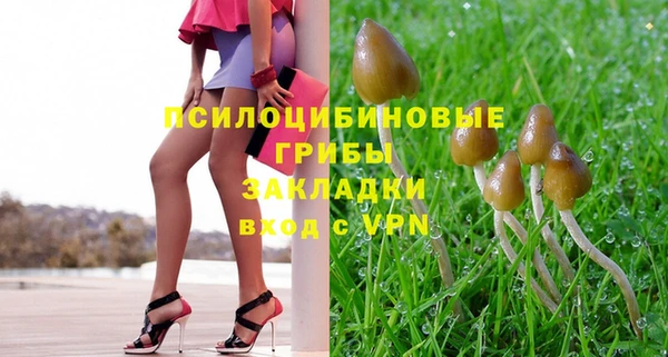 амф Елабуга