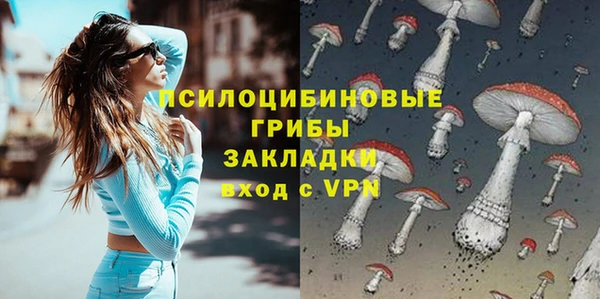 мескалин Заводоуковск