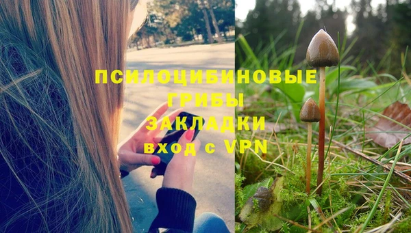мескалин Заводоуковск