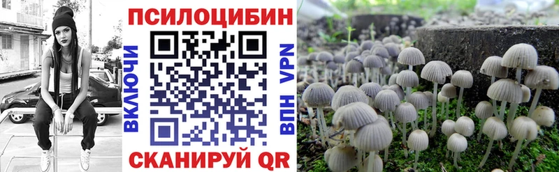 Купить закладки  Канаш  Галлюциногенные грибы Magic Shrooms 